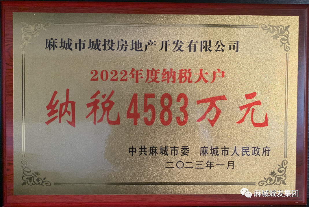 城投房地产纳税大户.jpg