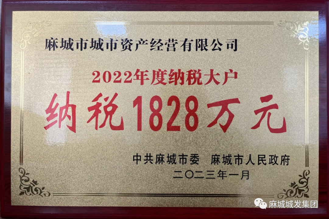 城市资产经营纳税大户.jpg